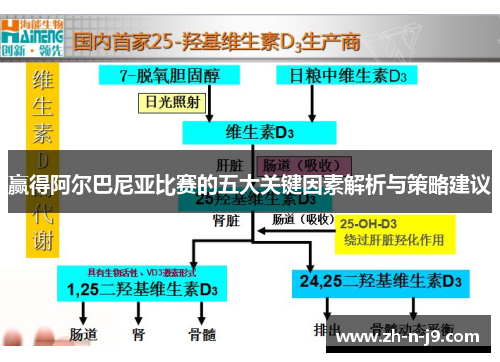 赢得阿尔巴尼亚比赛的五大关键因素解析与策略建议