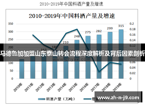 马德鲁加加盟山东泰山转会流程深度解析及背后因素剖析