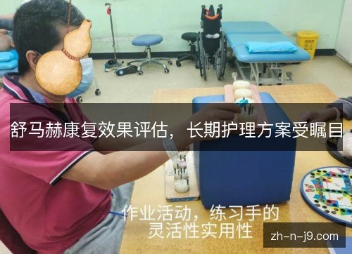 舒马赫康复效果评估，长期护理方案受瞩目